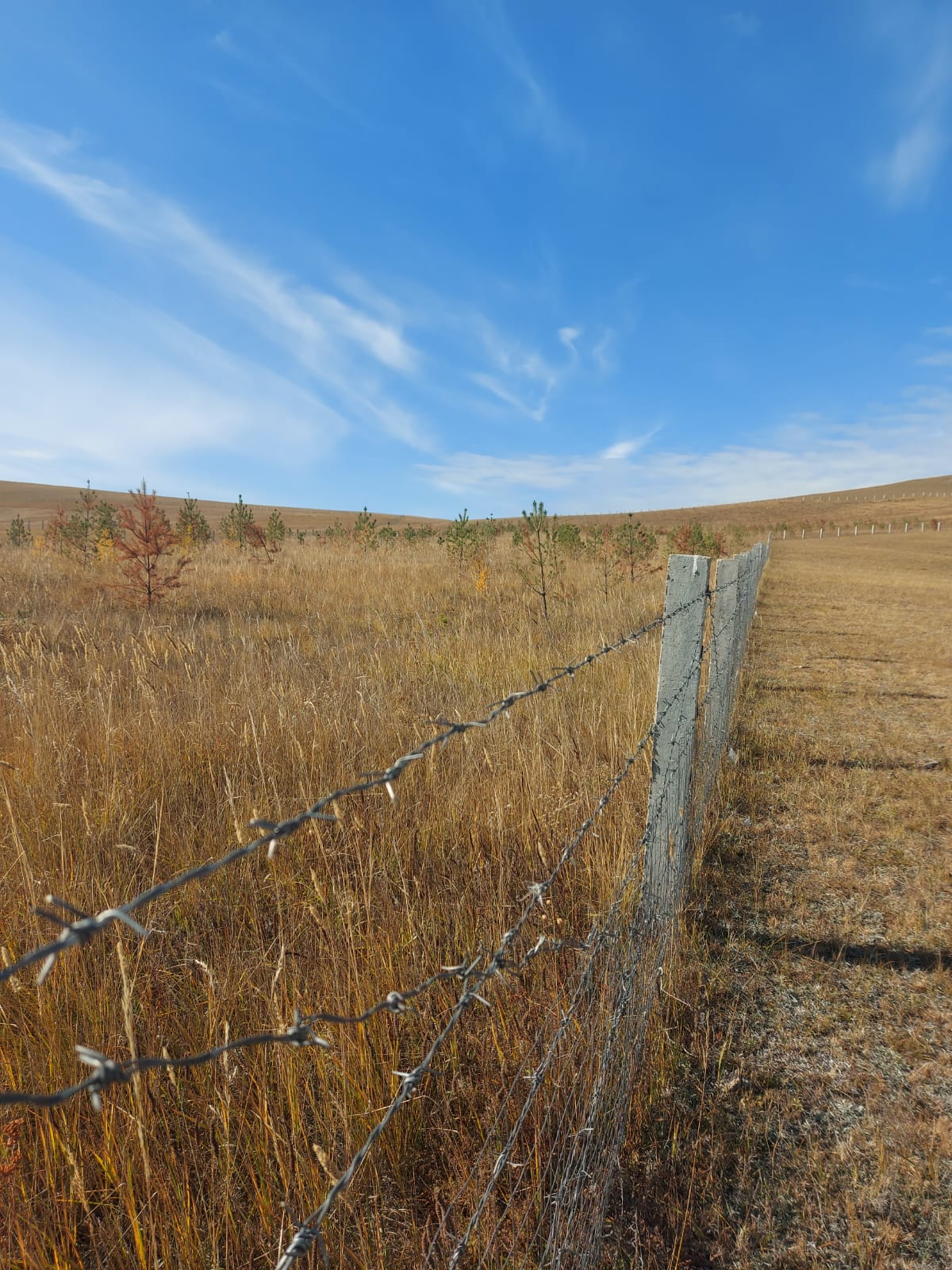 D-CAMP image 7